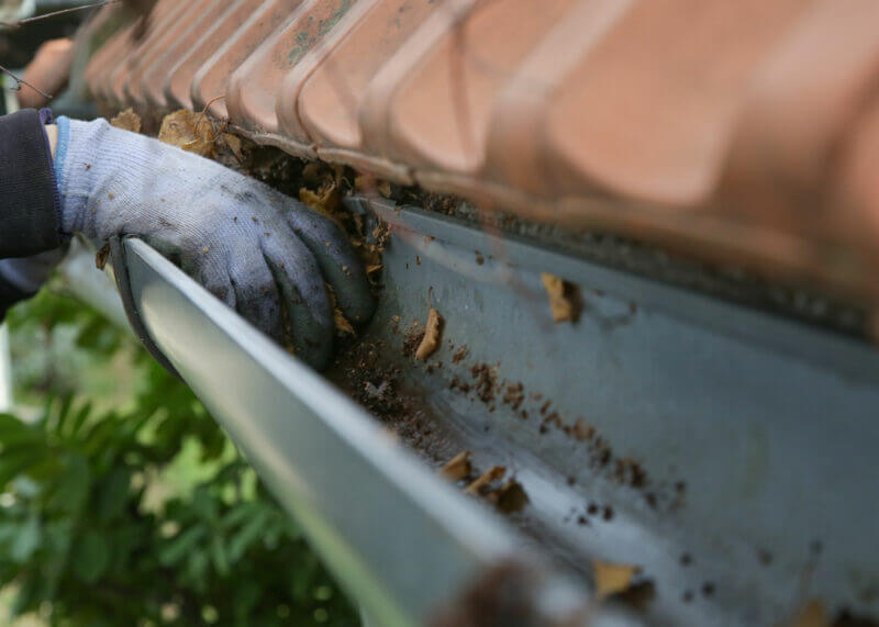Cleaning Out Your Rain Gutters | Arive Homes